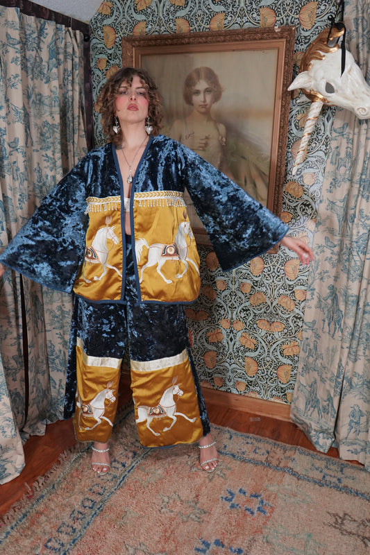Midnight Carousel Velvet Ensemble